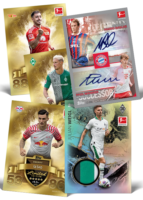 Sport Cards, Mintcards.ch, Leaf, Panini, Topps, TGC, Bushiroad, Kayou, ...