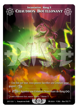 Rise TCG - CHAUDRON BOUILLONANT 207/232 | Mintcards.ch